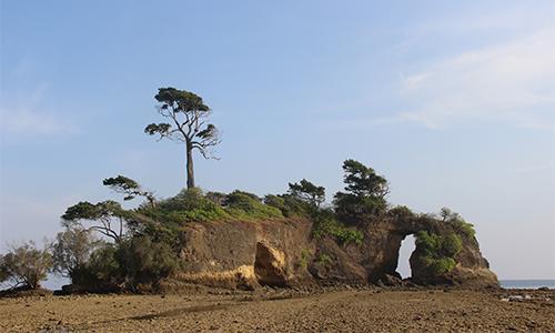 Pearl Park Beach Resort Lakshmanpur Eksteriør bilde